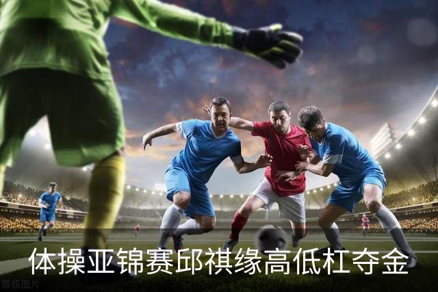 体操亚锦赛邱祺缘高低杠夺金
