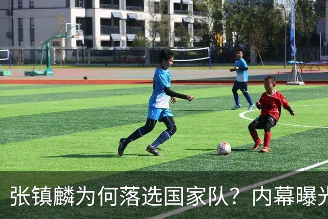 张镇麟为何落选国家队？内幕曝光，叫人心疼，郭士强并没放弃他